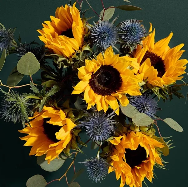 Marks and Spencer cashback benefit 2 image